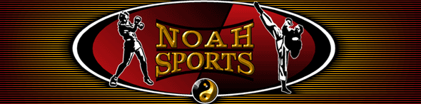 noahsportslogo